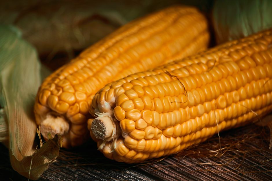 Är majsmjöl glutenfritt? Ja – men vilket majsmjöl menar du?