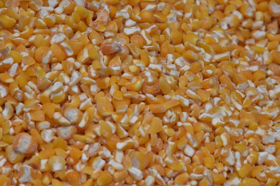 Är majsstärkelse glutenfritt? Råvaran ja – paketet avgörs av märkningen