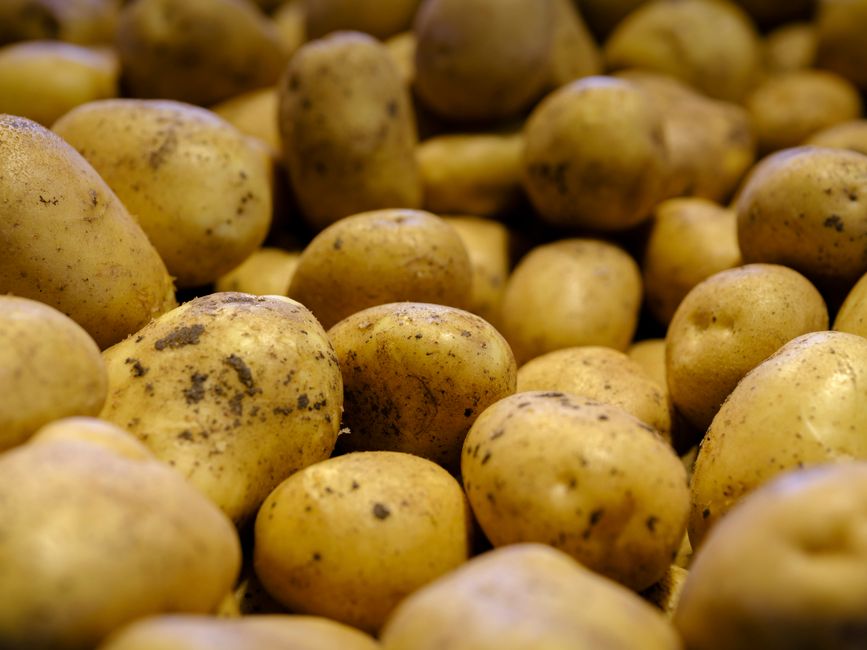 Är potatismjöl glutenfritt? Ja – så använder du det